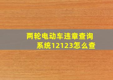 两轮电动车违章查询系统12123怎么查