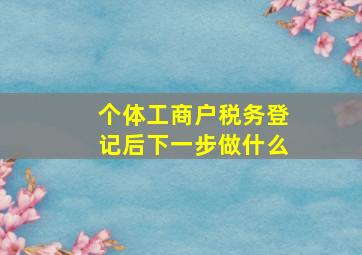 个体工商户税务登记后下一步做什么