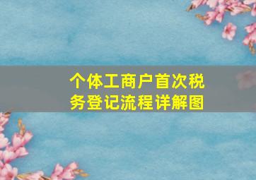 个体工商户首次税务登记流程详解图