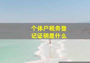 个体户税务登记证明是什么