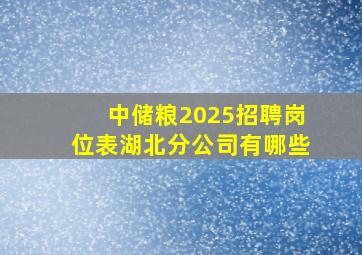 中储粮2025招聘岗位表湖北分公司有哪些