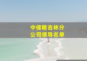 中储粮吉林分公司领导名单