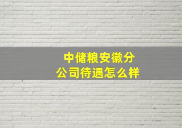 中储粮安徽分公司待遇怎么样