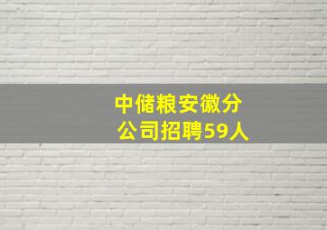 中储粮安徽分公司招聘59人