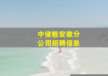 中储粮安徽分公司招聘信息