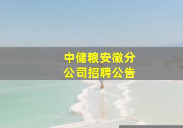 中储粮安徽分公司招聘公告