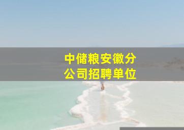 中储粮安徽分公司招聘单位