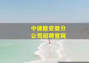 中储粮安徽分公司招聘官网