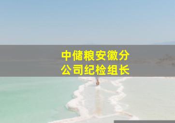 中储粮安徽分公司纪检组长