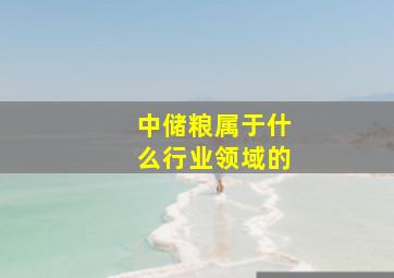 中储粮属于什么行业领域的