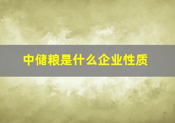 中储粮是什么企业性质