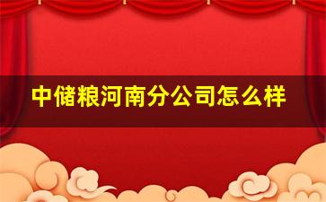 中储粮河南分公司怎么样