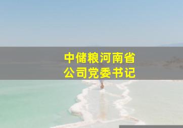 中储粮河南省公司党委书记