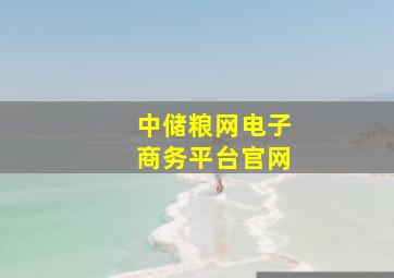 中储粮网电子商务平台官网