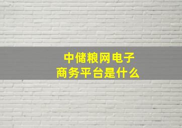 中储粮网电子商务平台是什么