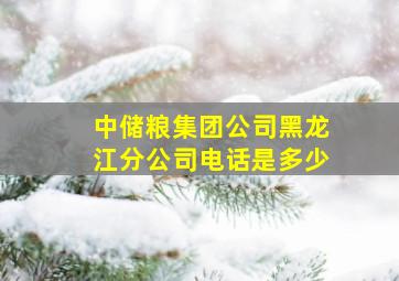 中储粮集团公司黑龙江分公司电话是多少