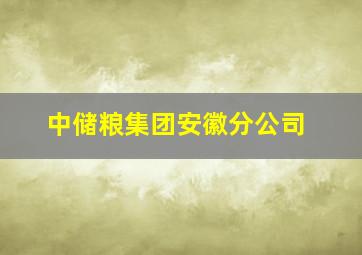 中储粮集团安徽分公司