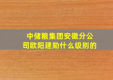 中储粮集团安徽分公司欧阳建勋什么级别的