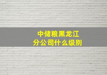 中储粮黑龙江分公司什么级别