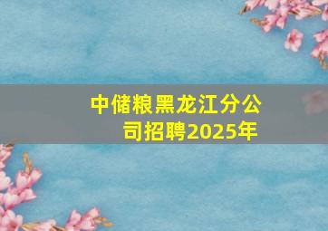 中储粮黑龙江分公司招聘2025年