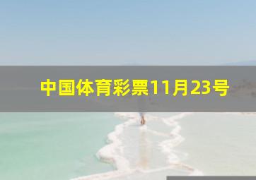 中国体育彩票11月23号