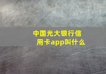 中国光大银行信用卡app叫什么