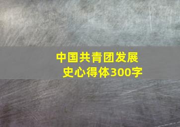 中国共青团发展史心得体300字