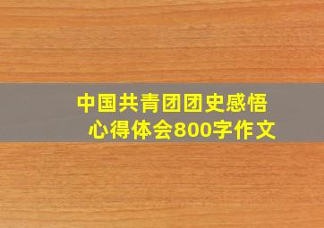 中国共青团团史感悟心得体会800字作文