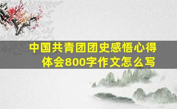 中国共青团团史感悟心得体会800字作文怎么写