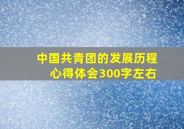 中国共青团的发展历程心得体会300字左右