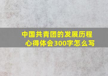 中国共青团的发展历程心得体会300字怎么写