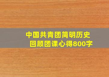 中国共青团简明历史回顾团课心得800字