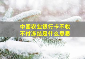 中国农业银行卡不收不付冻结是什么意思