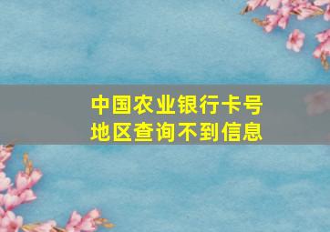 中国农业银行卡号地区查询不到信息