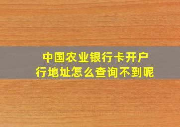 中国农业银行卡开户行地址怎么查询不到呢