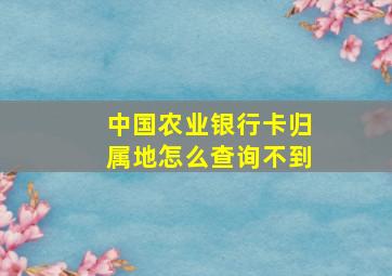 中国农业银行卡归属地怎么查询不到