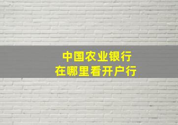 中国农业银行在哪里看开户行