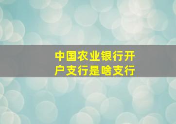 中国农业银行开户支行是啥支行