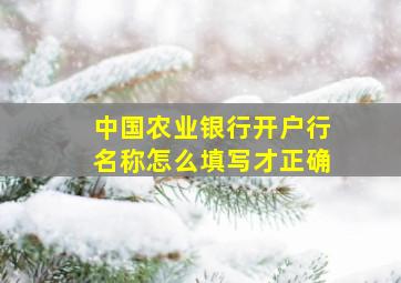 中国农业银行开户行名称怎么填写才正确