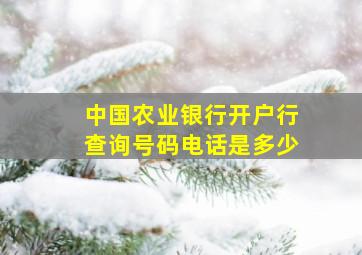 中国农业银行开户行查询号码电话是多少