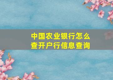 中国农业银行怎么查开户行信息查询