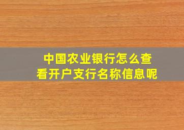 中国农业银行怎么查看开户支行名称信息呢