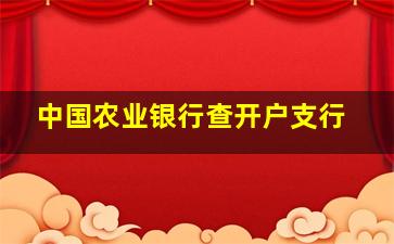 中国农业银行查开户支行