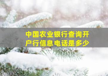 中国农业银行查询开户行信息电话是多少