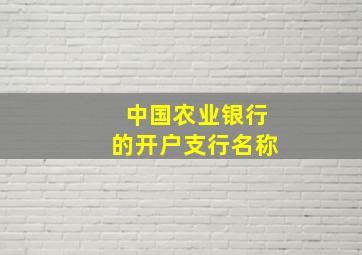 中国农业银行的开户支行名称