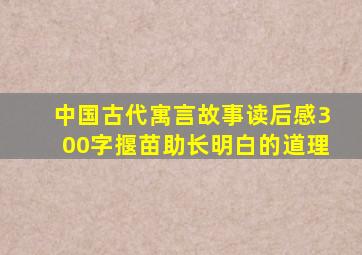 中国古代寓言故事读后感300字揠苗助长明白的道理