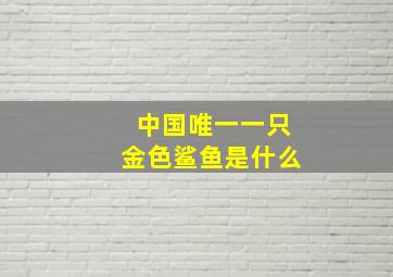 中国唯一一只金色鲨鱼是什么