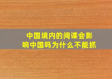 中国境内的间谍会影响中国吗为什么不能抓