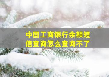 中国工商银行余额短信查询怎么查询不了