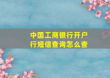 中国工商银行开户行短信查询怎么查